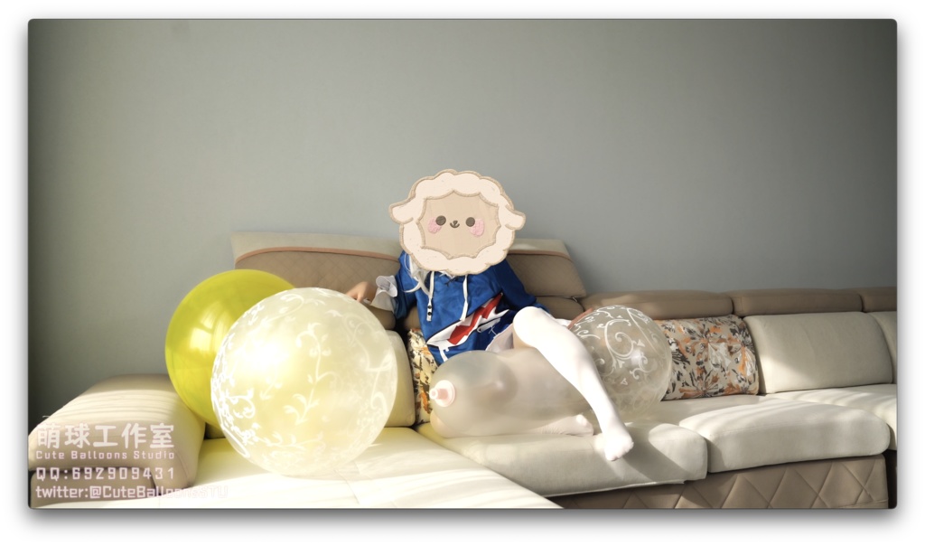 小さなサメがPOPQL24