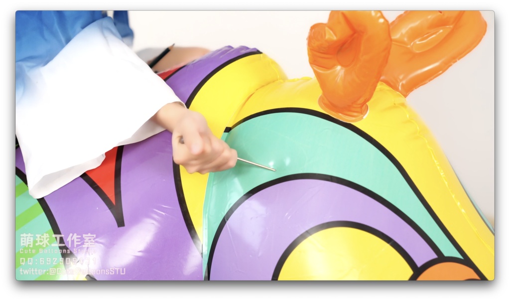 サメがカラーサイを破る