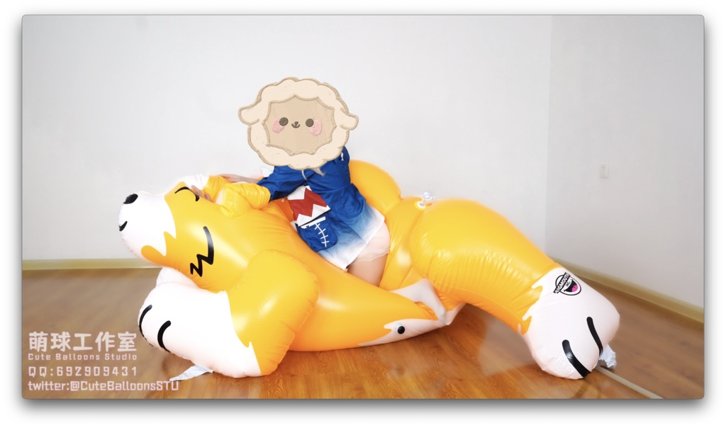 サメが空気入りおもちゃの犬を破った