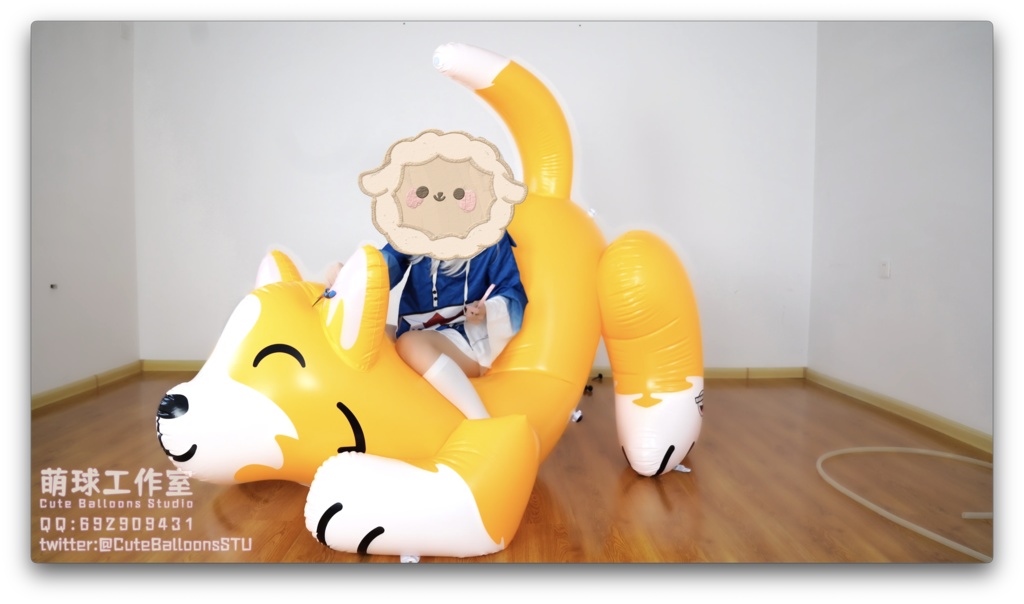 サメが空気入りおもちゃの犬を破った