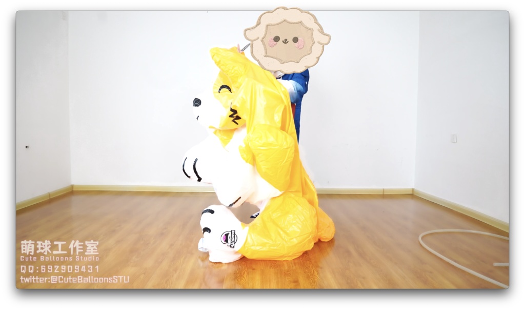 サメが空気入りおもちゃの犬を破った