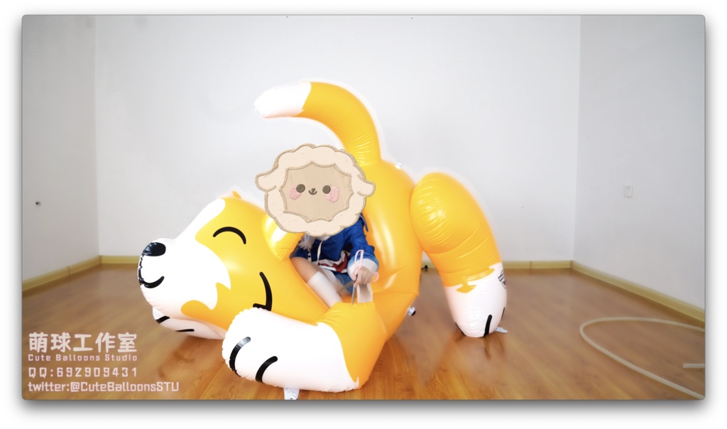 サメが空気入りおもちゃの犬を破った