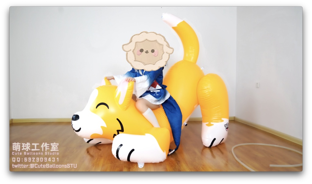 サメが空気入りおもちゃの犬を破った