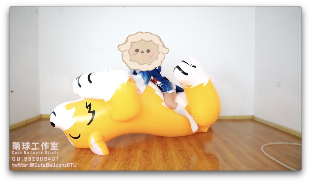 サメが空気入りおもちゃの犬を破った