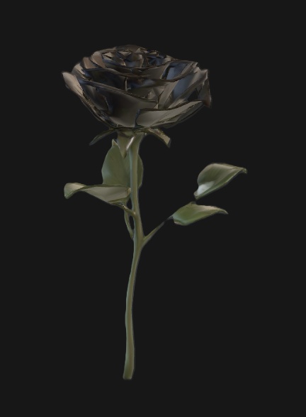 黒薔薇　3D