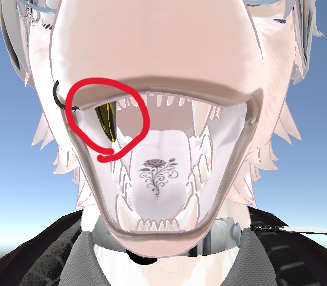 綺麗な歯 一本 (ガチ普通の犬歯)