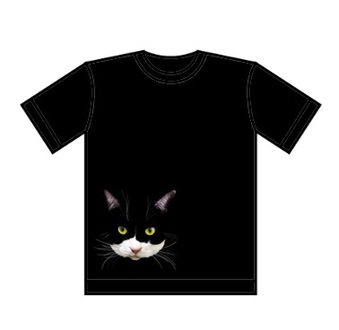 滝　Tシャツ