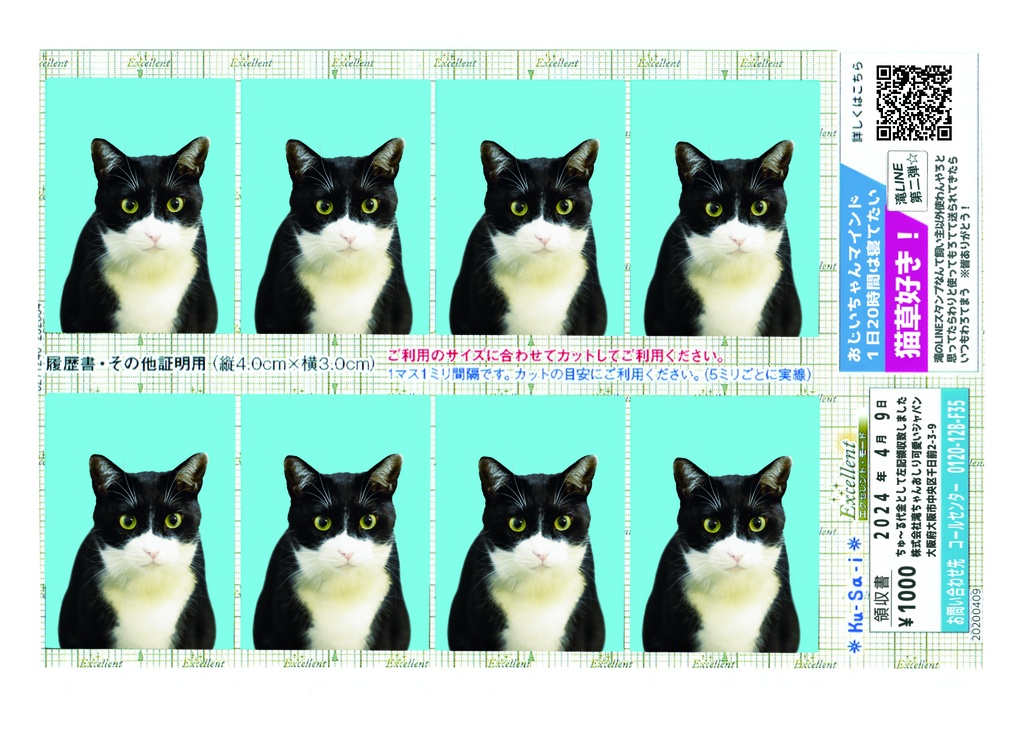 滝　証明写真