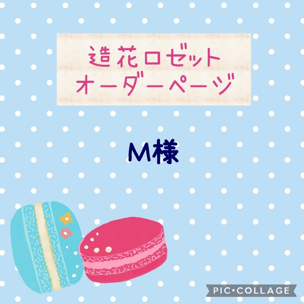 M様 オーダーページ - 通販 - csa.sakura.ne.jp