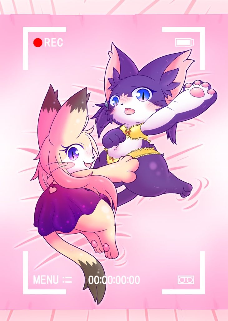 Katzen in Unterwäsche