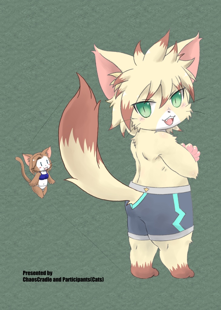 Katzen in Unterwäsche