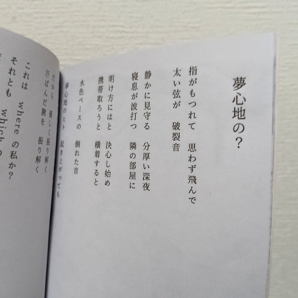 詩画集--甘口カレエ