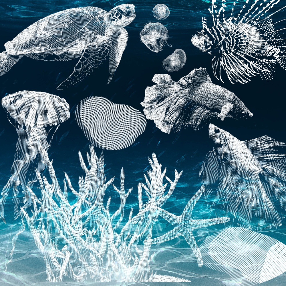 【透過素材】海の生き物部屋 / 装飾素材 / ココフォリア / CoC / Call of Cthulhu