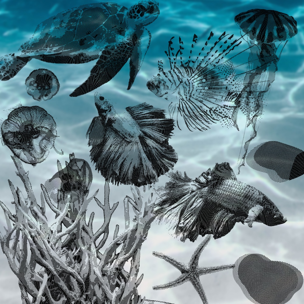 【透過素材】海の生き物部屋 / 装飾素材 / ココフォリア / CoC / Call of Cthulhu