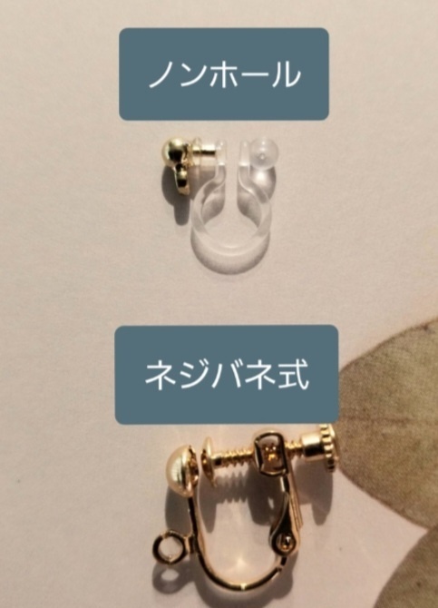 小さな海の世界 貝殻のピアス