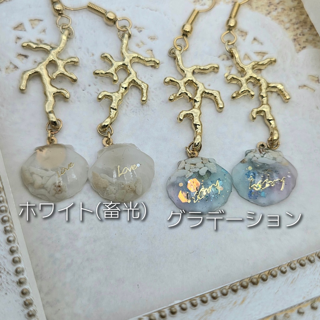 小さな海の世界 貝殻のピアス