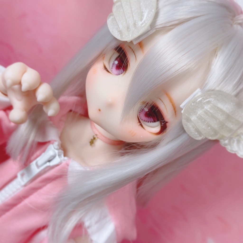 ✧︎お迎え決定✧︎ ddh27