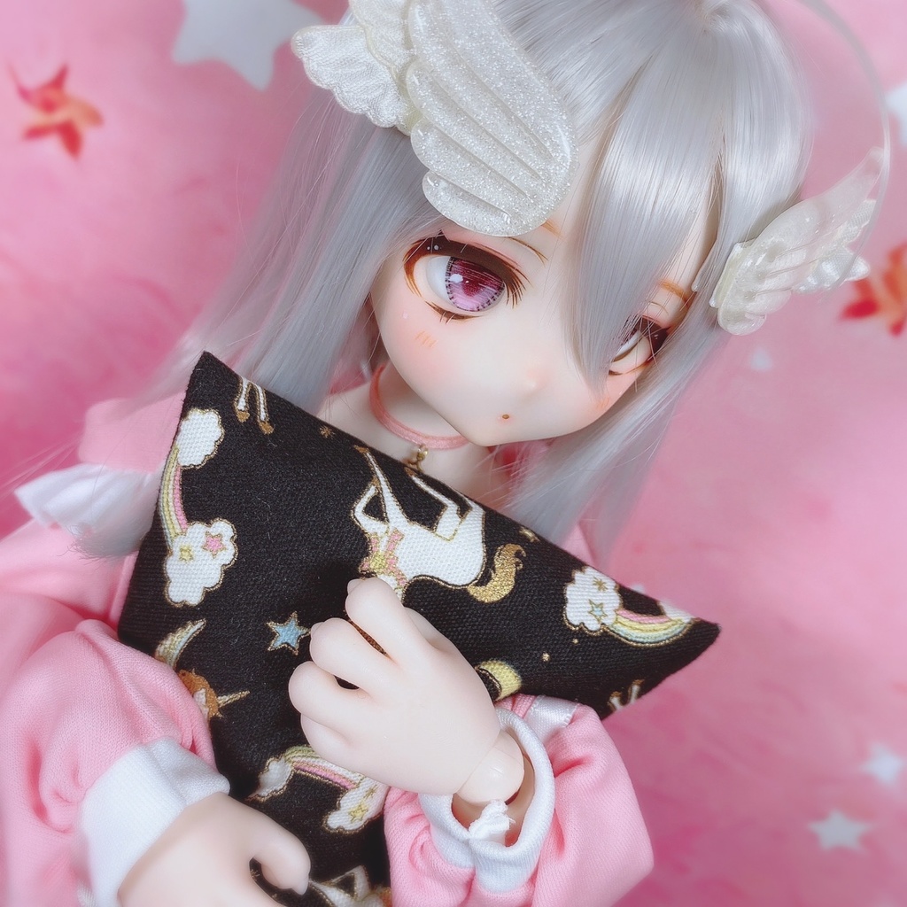 ✧︎お迎え決定✧︎ ddh27