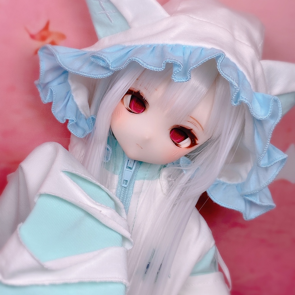 ✧︎お迎え決定✧︎ ddh27
