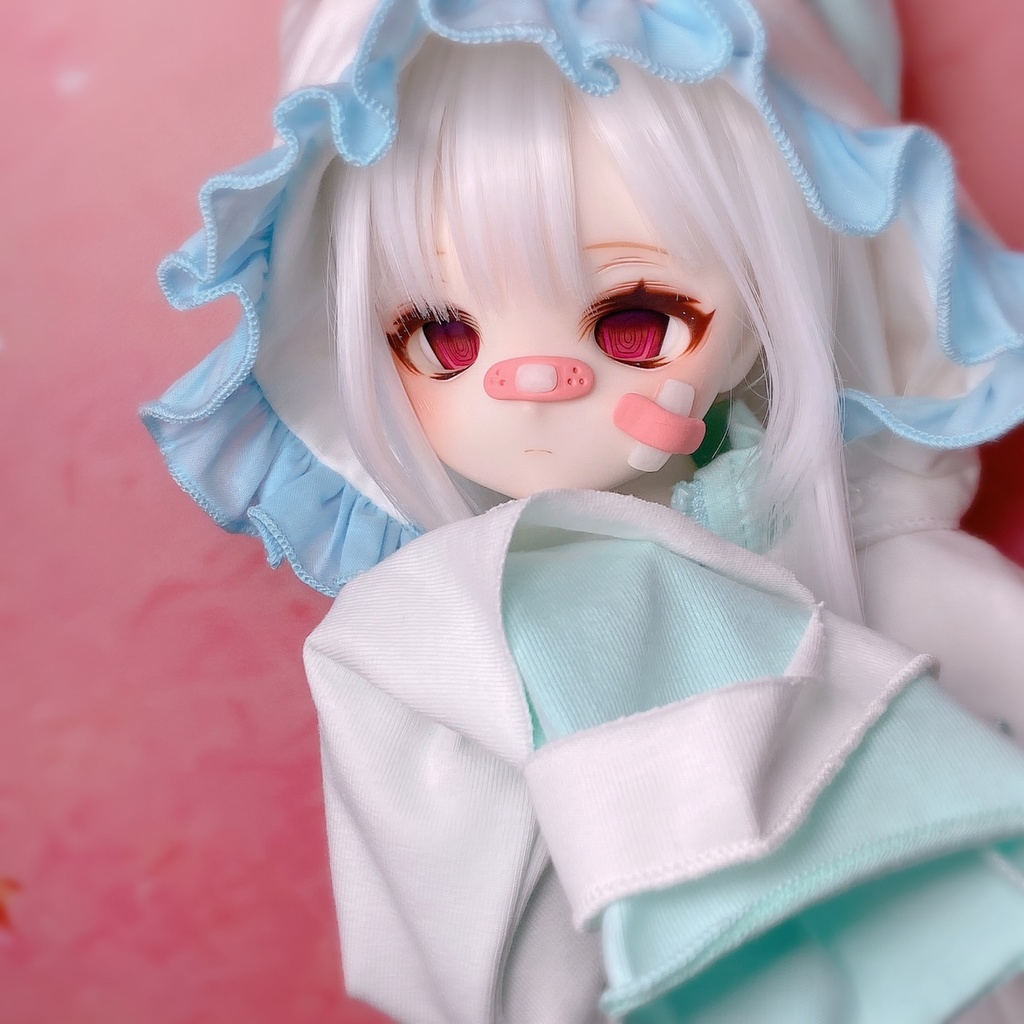 ✧︎お迎え決定✧︎ ddh27