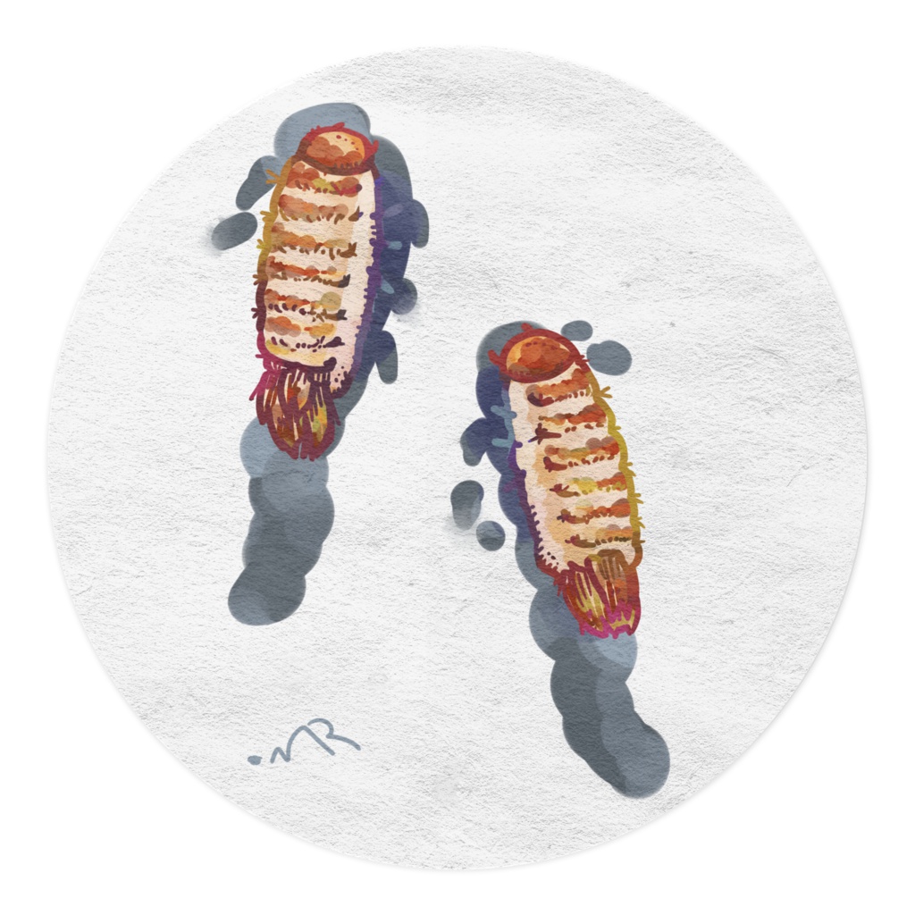 ヒメマルカツオブシムシ幼虫のマスキングテープ