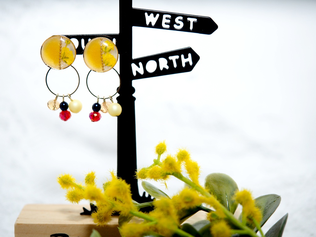 ★ドライフラワーの2wayイヤーアクセサリー