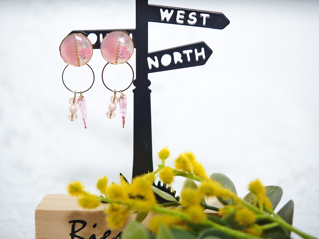 ★ドライフラワーの2wayイヤーアクセサリー