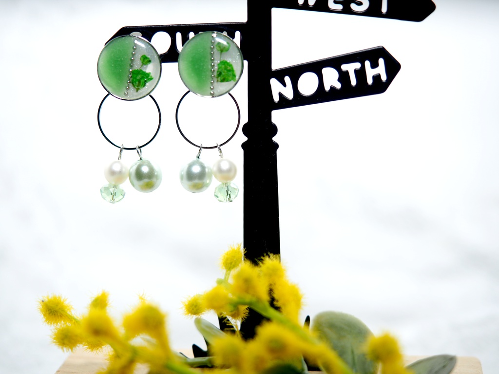 ★ドライフラワーの2wayイヤーアクセサリー