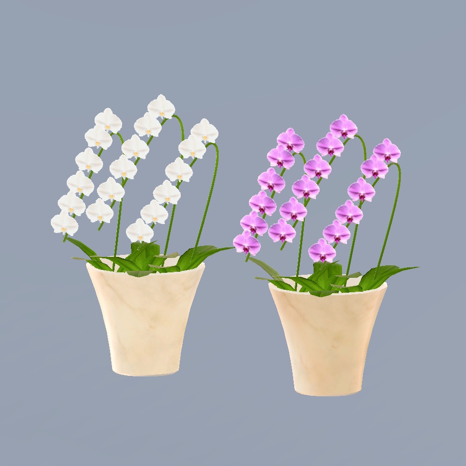 3Dモデル 胡蝶蘭 (☆名入れプレゼント可能☆)