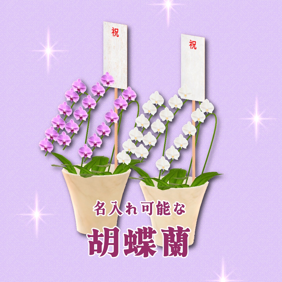 3Dモデル 胡蝶蘭 (☆名入れプレゼント可能☆)