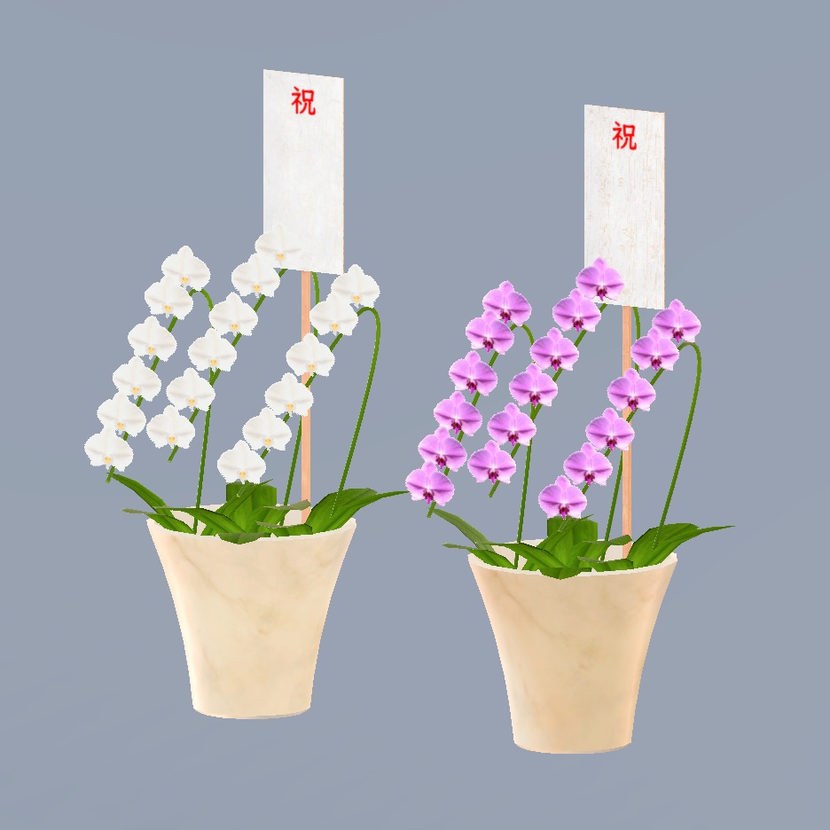 3Dモデル 胡蝶蘭 (☆名入れプレゼント可能☆)