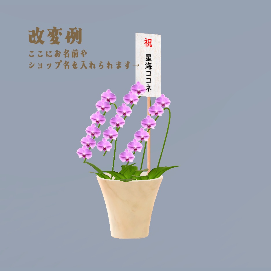 3Dモデル 胡蝶蘭 (☆名入れプレゼント可能☆)