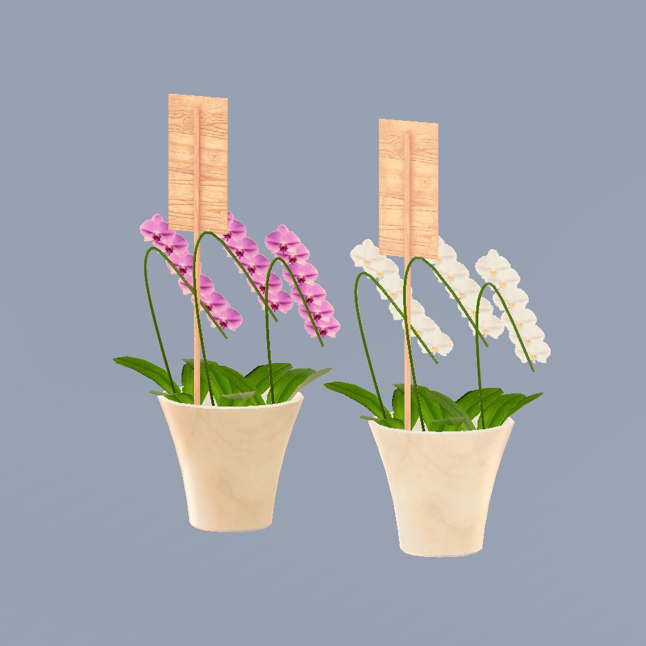 3Dモデル 胡蝶蘭 (☆名入れプレゼント可能☆)