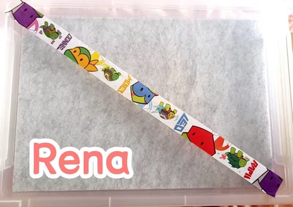 [TMNT2018] TMNT Masking Tape
