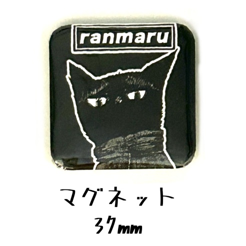 マグネット　〇asis風