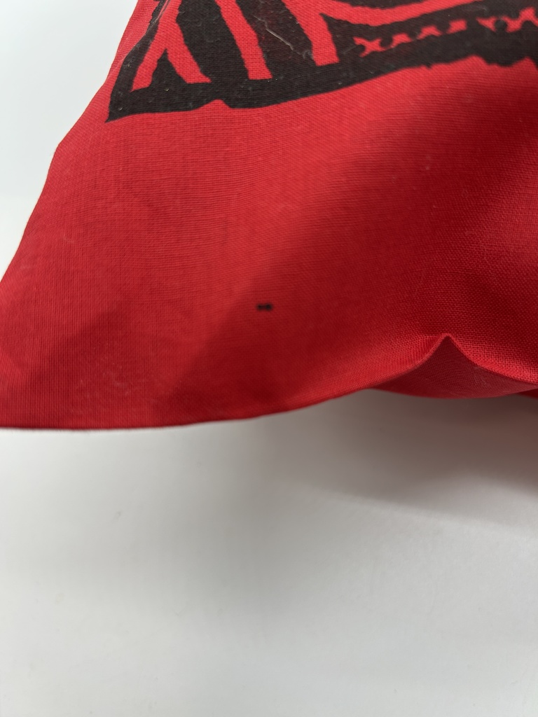 巾着袋 南国猫 シルクスクリーン制作