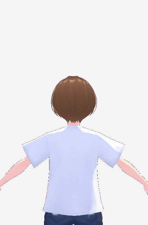 エリン島Tシャツ