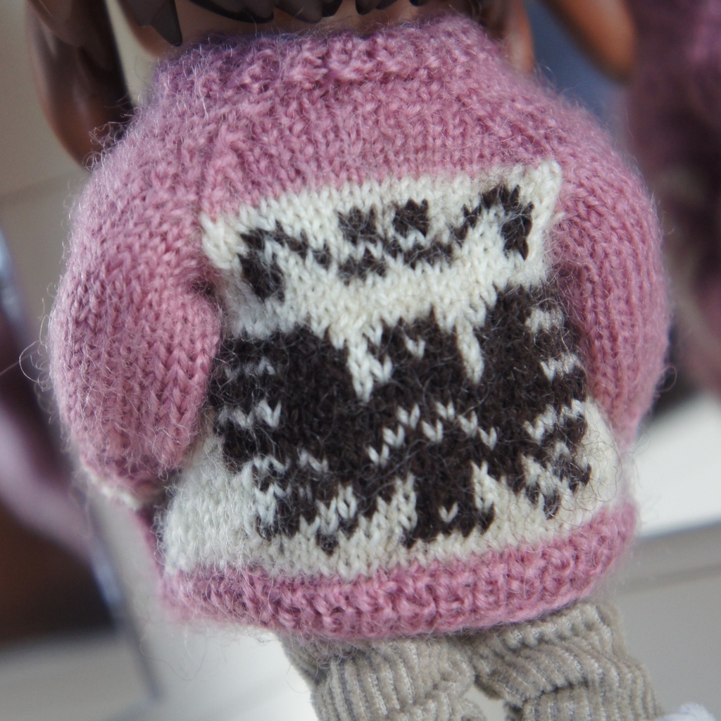 【即納品】襟なし・ファスナー 白色 トリ柄 カウチンジャケット