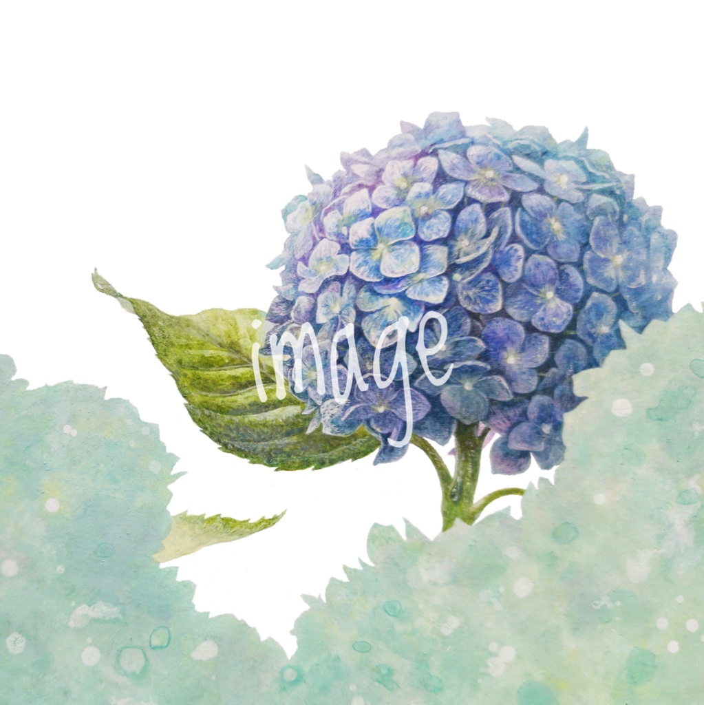 ICカードステッカー 2枚入り 紫陽花