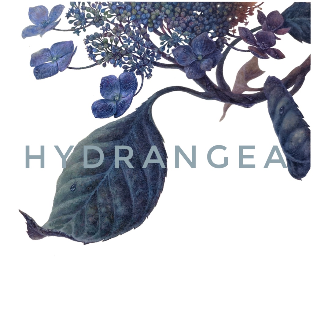 マグカップ 紫陽花