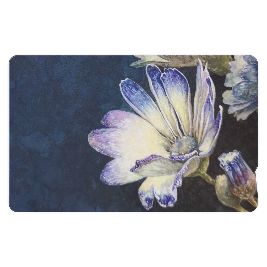 ICカードステッカー 2枚入 サイネリア