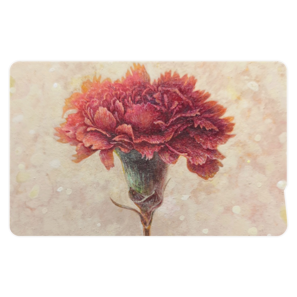 ICカードステッカー 2枚入 カーネーション