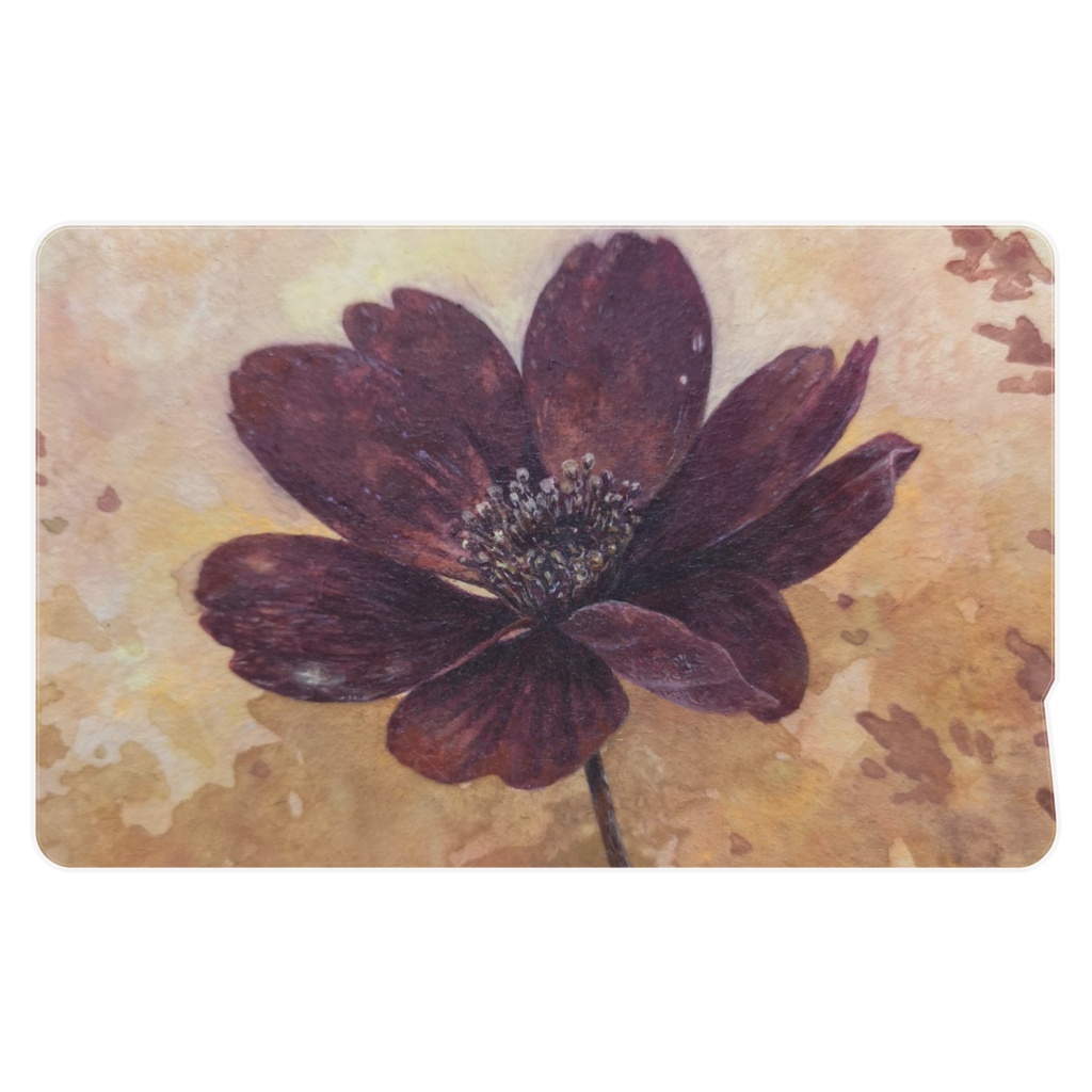 ICカードステッカー 2枚入 チョコレートコスモス