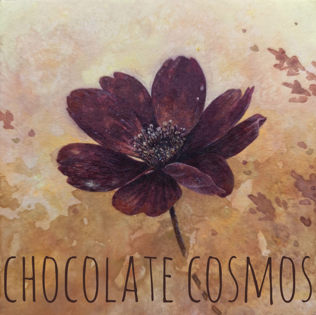 ICカードステッカー 2枚入 チョコレートコスモス