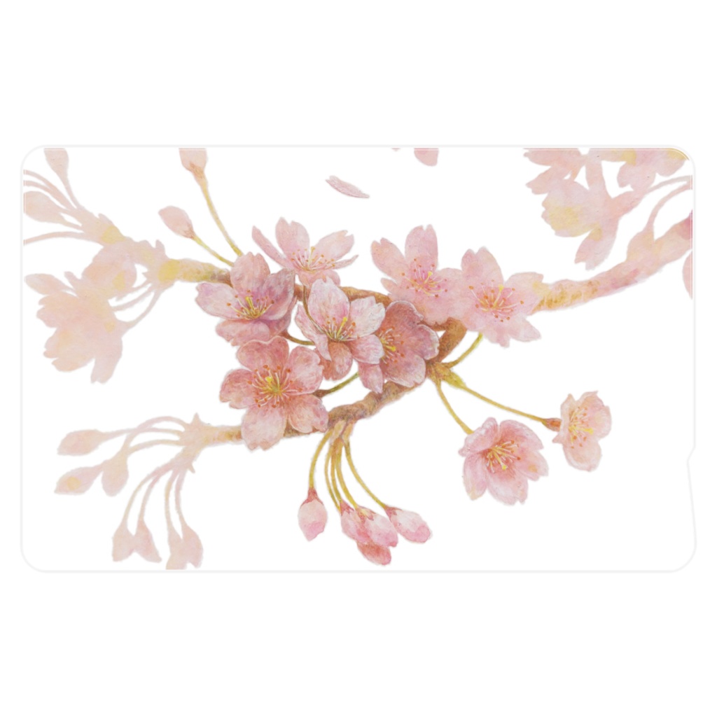 ICカードステッカー 2枚入 桜