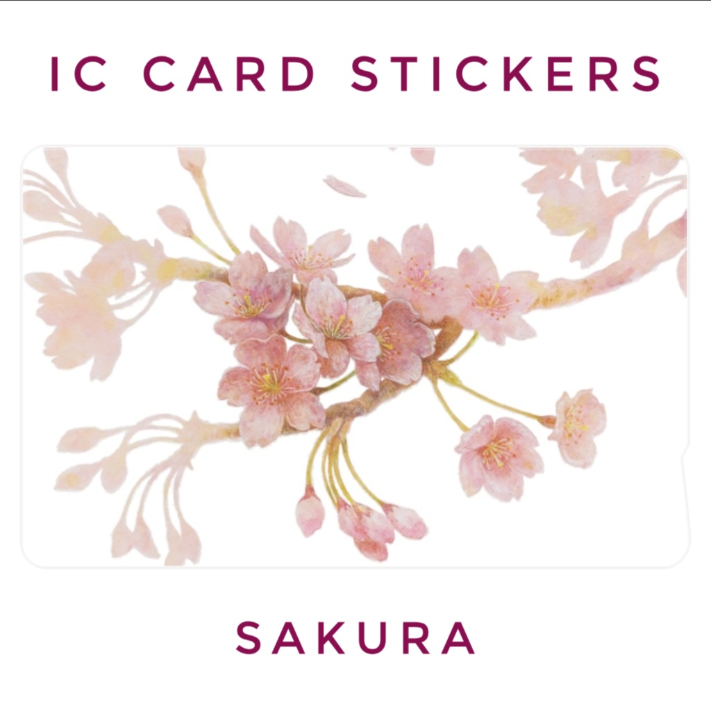 ２枚入！桜のICカードステッカー