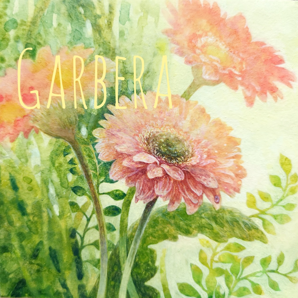 ICカードステッカー 2枚入 ガーベラ