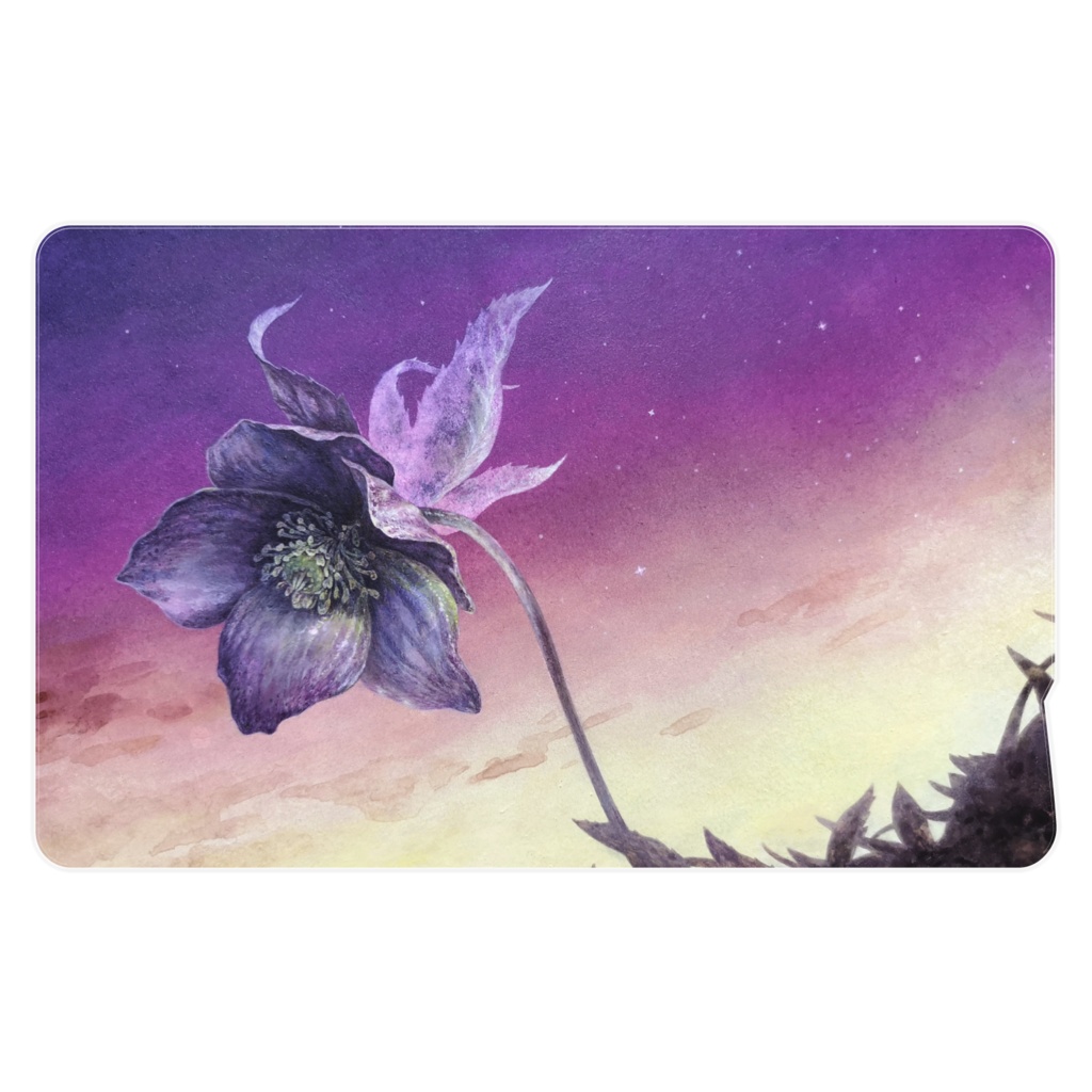 ICカードステッカー 2枚入 クリスマスローズ