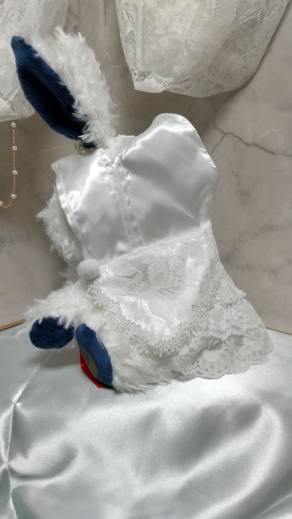 ラビットコレクション 衣装