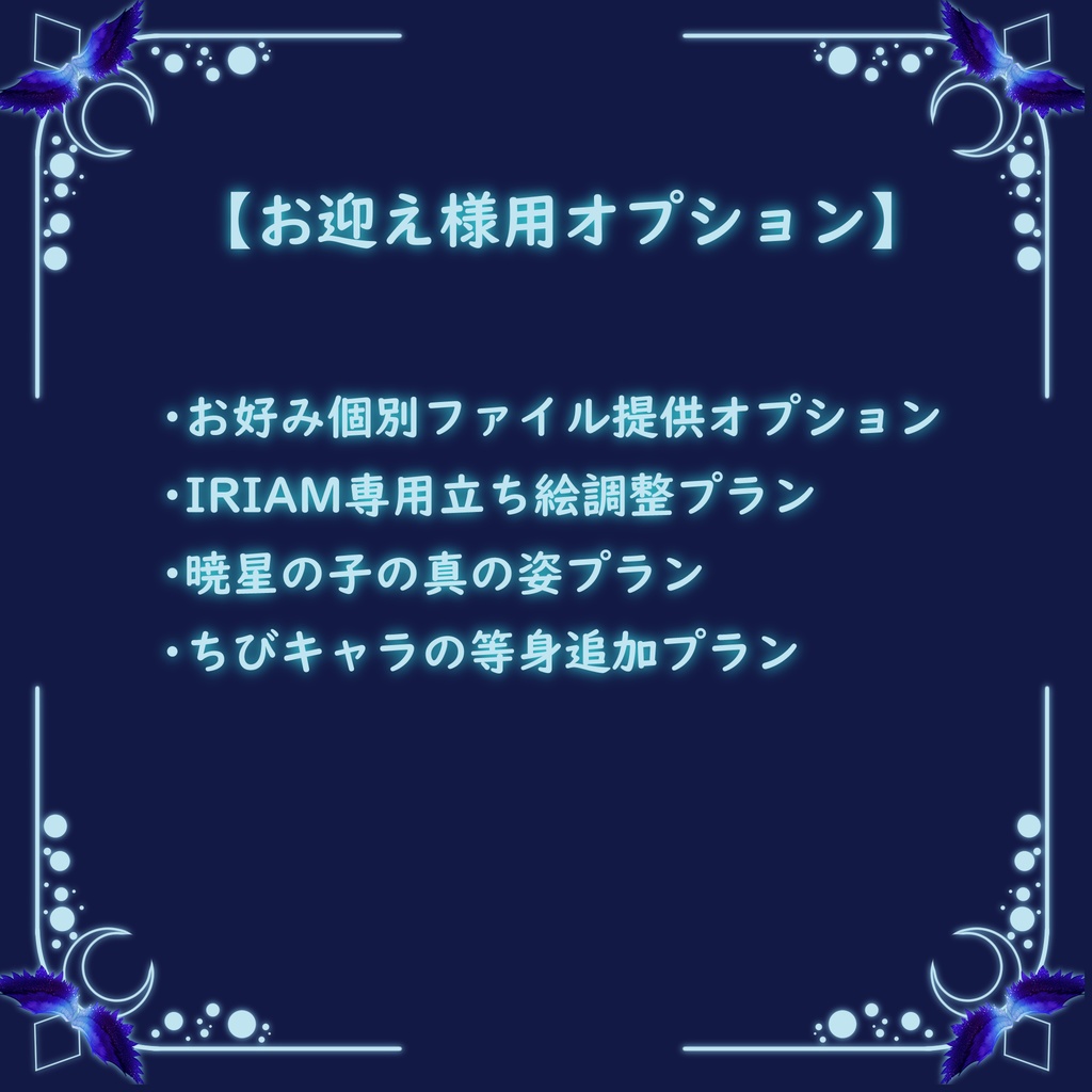 【お迎え様専用】オプション
